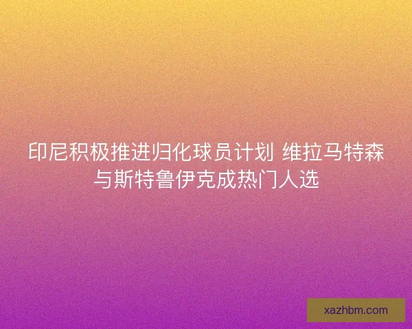 印尼积极推进归化球员计划 维拉马特森与斯特鲁伊克成热门人选